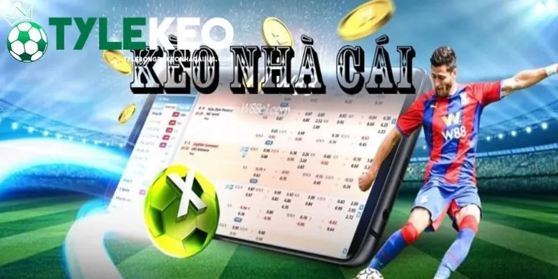 Các giải đấu thường sử dụng các dạng kèo nhà cái