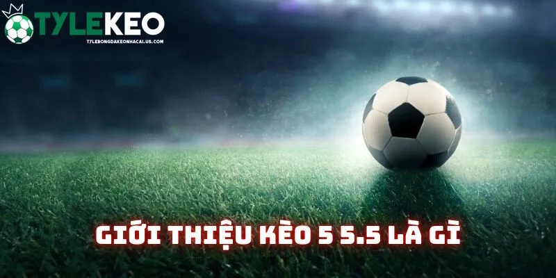 Giới thiệu chi tiết tài xỉu kèo 5 5.5 là gì